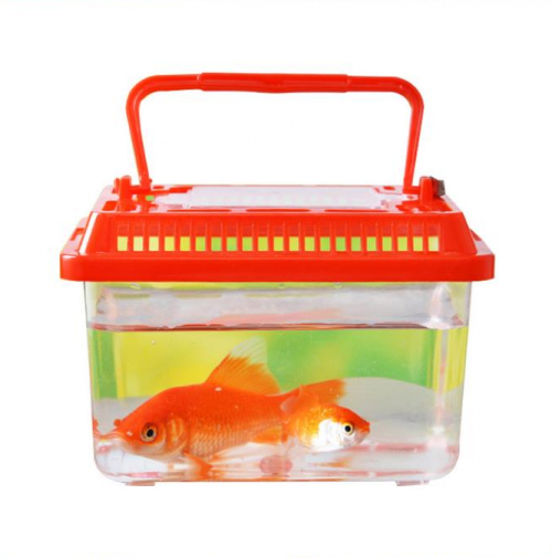 Plastic Ecological Small Fish Tank