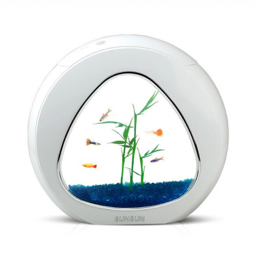 Desktop Fish Tank Aquarium