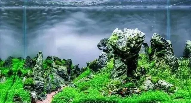 Aquarium Landscaping 01