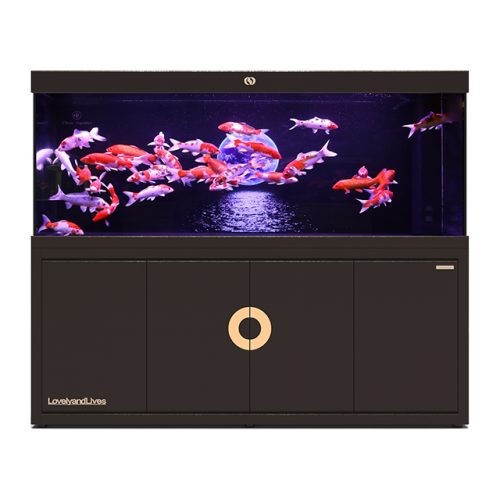 IWISH FC2D 200 Gallon Fish tank Aquarium Tanks Large Fresh Sea Water Ultra Clear Glass Accessories with Pump Light Cabinet