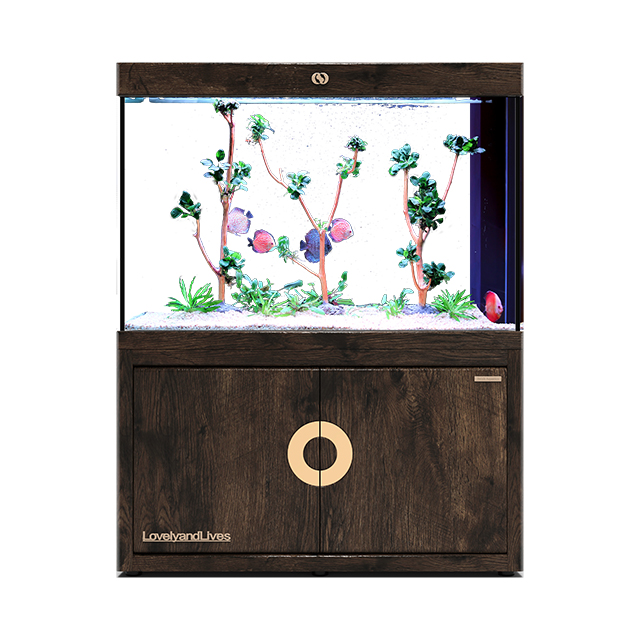 IWISH FC2D 200 Gallon Fish tank Aquarium Tanks Large Fresh Sea Water Ultra Clear Glass Accessories with Pump Light Cabinet IWISH FC2D 200 Gallon Fish tank Aquarium Tanks Large Fresh Sea Water Ultra Clear Glass Accessories with Pump Light Cabinet