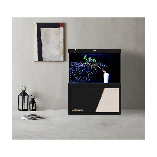 IWISH FC4D Series Ultra Glass Big Fish Tank With Filter Large Aquarium Accessories for Home Decoration Koi Fish Tank Aquarium