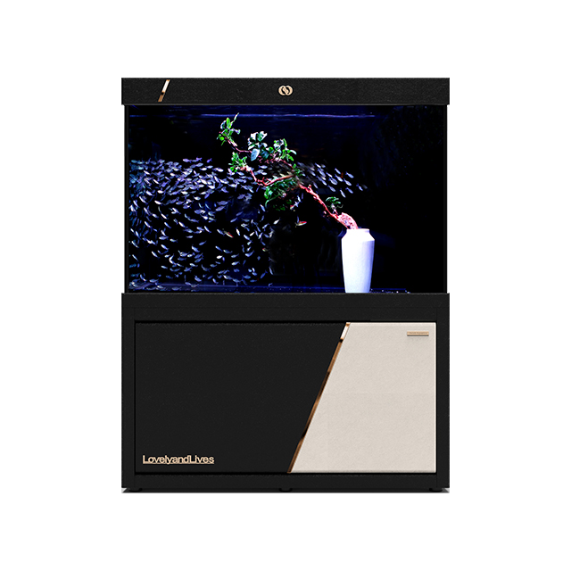 IWISH FC4D Series Ultra Glass Big Fish Tank With Filter Large Aquarium Accessories for Home Decoration Koi Fish Tank Aquarium