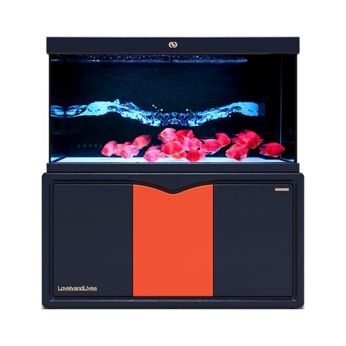 IWISH FD2D Series 200 300 Gallon Large Salt Water Ultra Clear Glass Aquarium Tanks Accessories with Cabinet Fish Tank