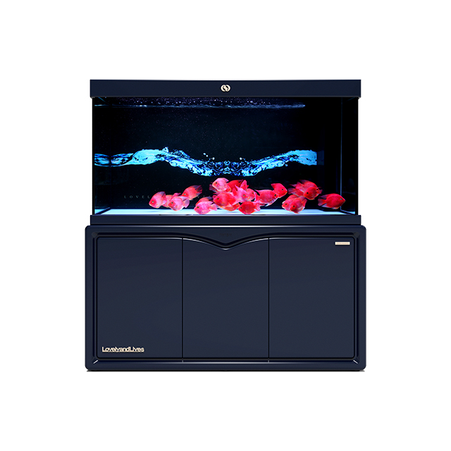 IWISH FD2D Series 200 300 Gallon Large Salt Water Ultra Clear Glass Aquarium Tanks Accessories with Cabinet Fish Tank IWISH FD2D Series 200 300 Gallon Large Salt Water Ultra Clear Glass Aquarium Tanks Accessories with Cabinet Fish Tank