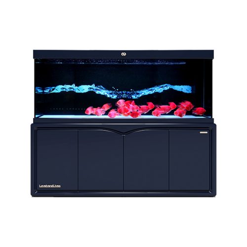 IWISH FD2D Series 200 300 Gallon Large Salt Water Ultra Clear Glass Aquarium Tanks Accessories with Cabinet Fish Tank